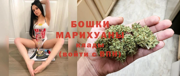 ПСИЛОЦИБИНОВЫЕ ГРИБЫ Тихвин