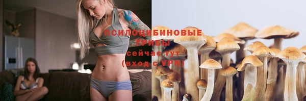 не бодяженный Беломорск