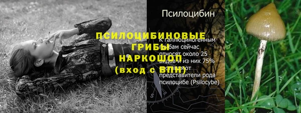 apvp Белоозёрский
