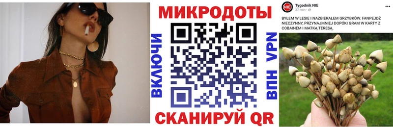 Галлюциногенные грибы MAGIC MUSHROOMS  МЕГА маркетплейс  Дигора 